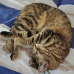 Fotografija iz galerije korisnika Manuela