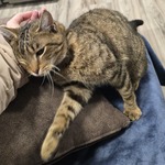 Fotografija iz galerije korisnika Manuela