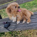 Fotografija iz galerije korisnika Manuela