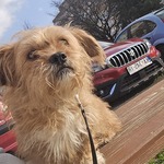 Fotografija iz galerije korisnika Manuela