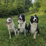 Fotografija iz galerije korisnika Karla