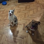 Fotografija iz galerije korisnika Karla