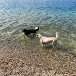 Fotografija iz galerije korisnika Karla